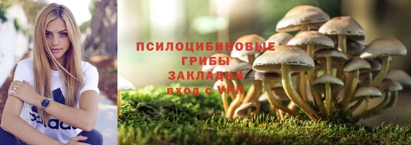 jwh Касимов