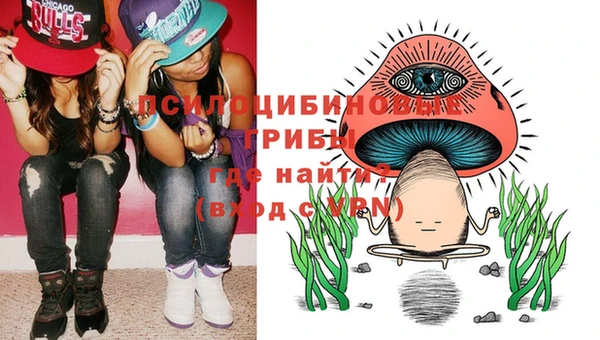 jwh Касимов
