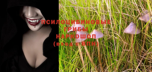 мет Карпинск