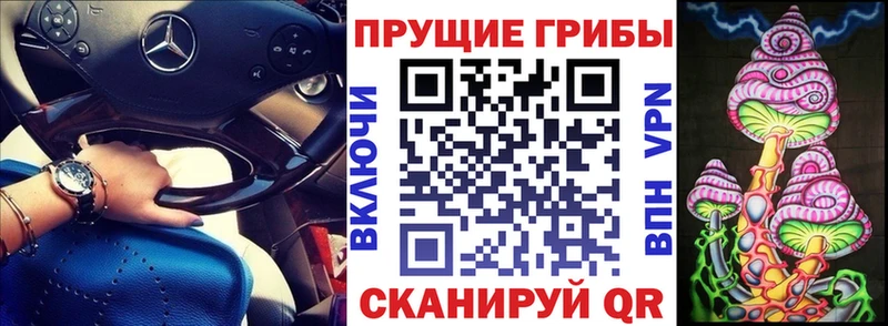 Купить где  Покровск  Псилоцибиновые грибы Cubensis 